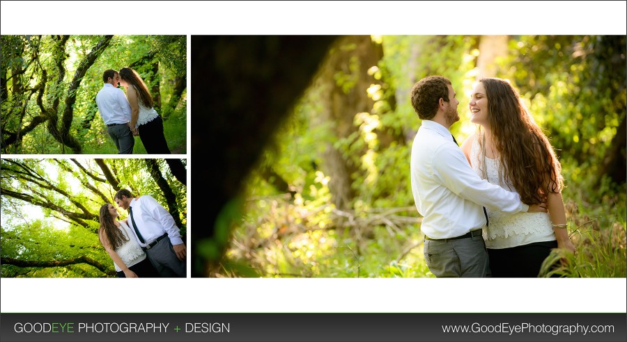 Abbie + Joe @ Henry Cowell, Felton - Engagement Photos by Bay Area Wedding Photographer Chris Schmauch www.GoodEyePhotography.com