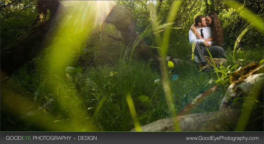 Abbie + Joe @ Henry Cowell, Felton - Engagement Photos by Bay Area Wedding Photographer Chris Schmauch www.GoodEyePhotography.com