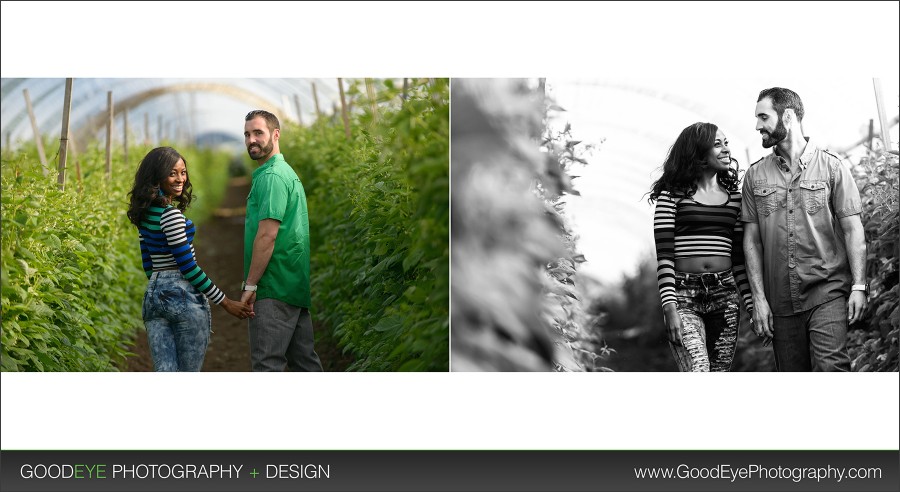 Private Estate Engagement Photos - Watsonville - by Bay Area Wedding Photographer Chris Schmauch www.GoodEyePhotography.com