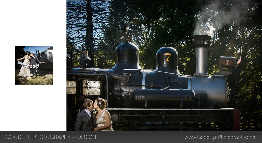 Roaring_Camp_Wedding_Photography_-_Felton_-_Abbie_and_Joe_23_web