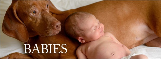 Newborns - GoodEye Pricing Page - GoodEye Photography